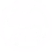 Feed The City